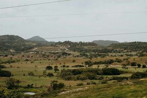 Programa de apoio ao emparcelamento de terrenos foi alargado a todo o país